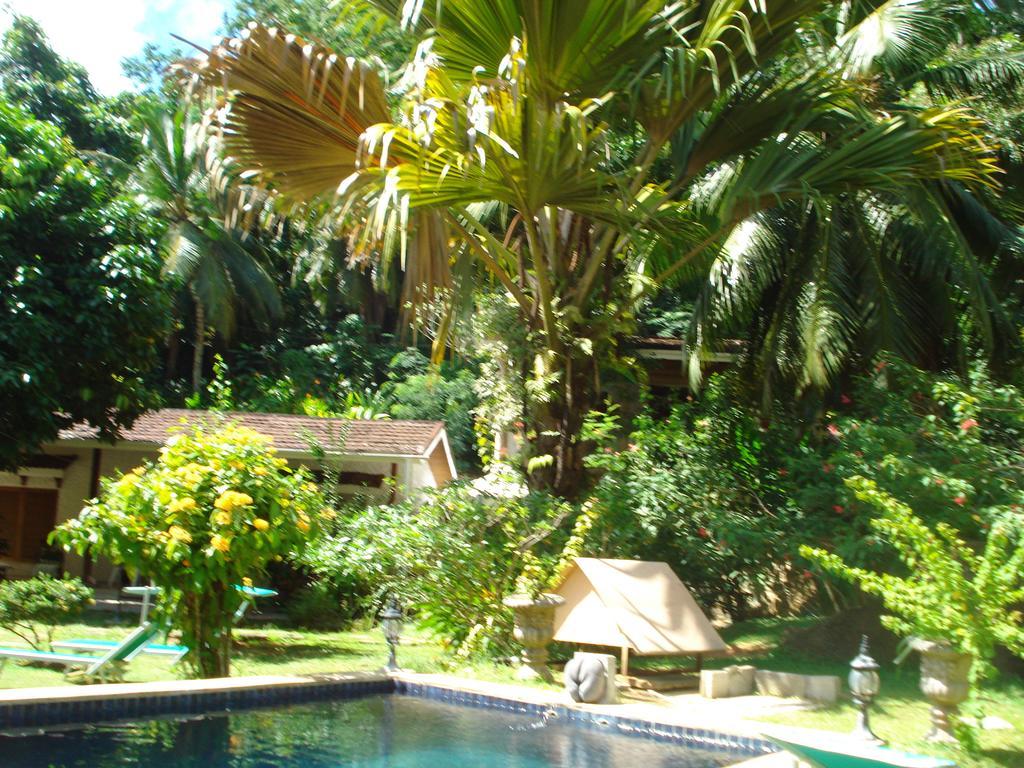 Cote Sud - Unique Villa & Bungalows Intendance Road Takamaka Kamer foto