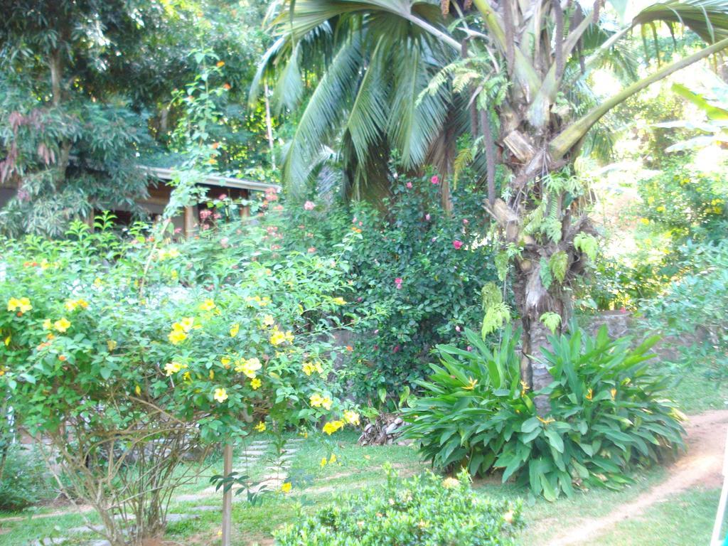 Cote Sud - Unique Villa & Bungalows Intendance Road Takamaka Kamer foto