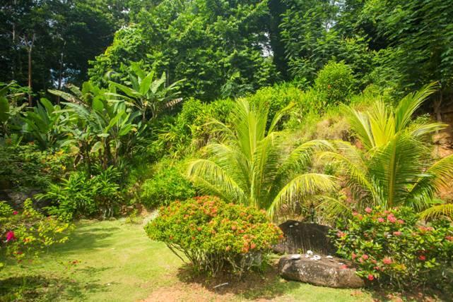 Cote Sud - Unique Villa & Bungalows Intendance Road Takamaka Buitenkant foto